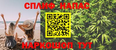 ешки Сланцы