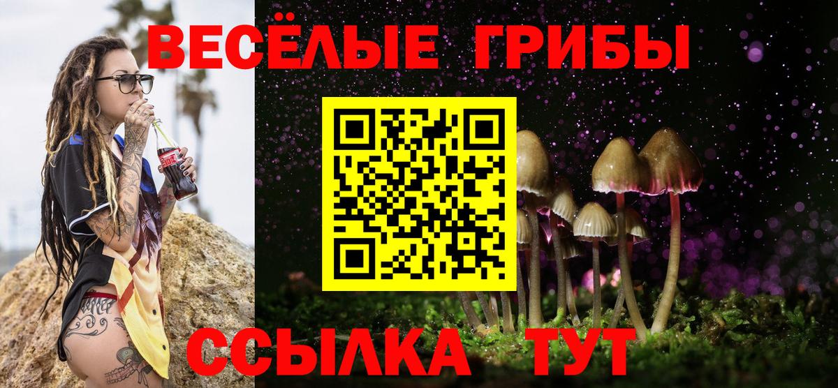Нерюнгри  Галлюциногенные грибы MAGIC MUSHROOMS  Вход с VPN 